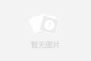 生產(chǎn)適合市場(chǎng)需要的小型發(fā)電機(jī)